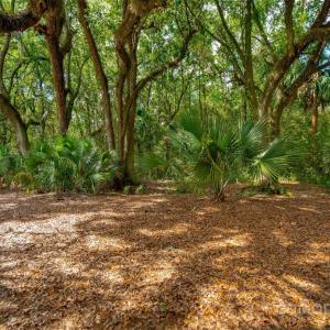 Photo #26 of 201 Grand Park, Charleston, SC