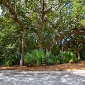 Photo #3 of 201 Grand Park, Charleston, SC