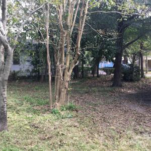 Photo #1 of 2020 Hackemann, North Charleston, SC