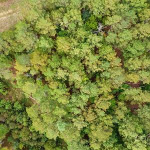 Photo #12 of 8090 Gulf Creek, Lancaster, SC