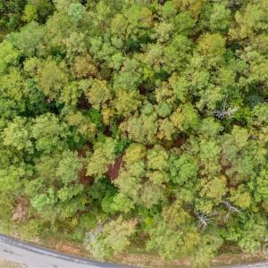 Photo #5 of 8090 Gulf Creek, Lancaster, SC