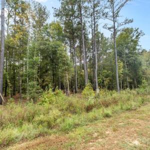 Photo #9 of 8090 Gulf Creek, Lancaster, SC