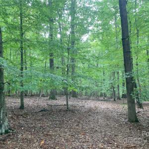 Photo #3 of Fawn, Waxhaw, NC