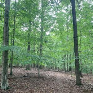 Photo #5 of Fawn, Waxhaw, NC