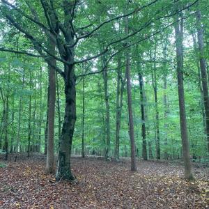 Photo #1 of Fawn, Waxhaw, NC