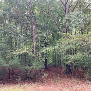 Photo #2 of Fawn, Waxhaw, NC