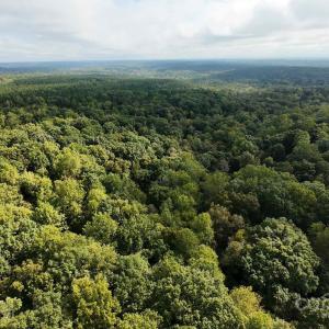 Photo #2 of Hord, Sharon, SC