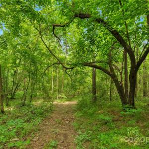 Photo #3 of Lucy Short Cut, Marshville, NC