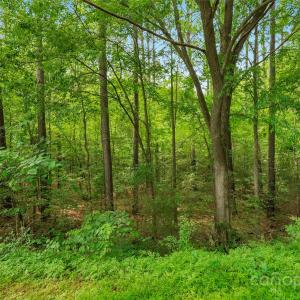 Photo #11 of Lucy Short Cut, Marshville, NC
