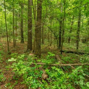 Photo #16 of Lucy Short Cut, Marshville, NC