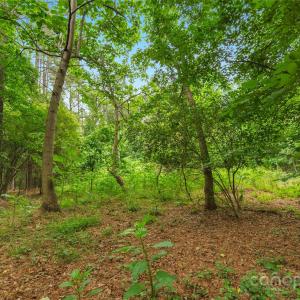 Photo #19 of Lucy Short Cut, Marshville, NC