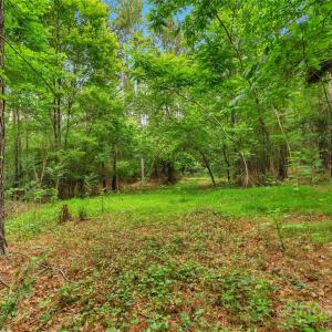 Photo #14 of Lucy Short Cut, Marshville, NC