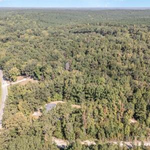 Photo #8 of 2519 Old Catholic Church, Blackstock, SC