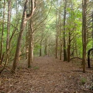 Photo #8 of 9650 Barnett, Concord, NC