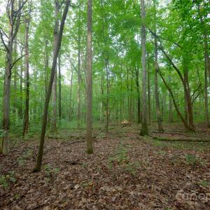 Photo #9 of 9650 Barnett, Concord, NC