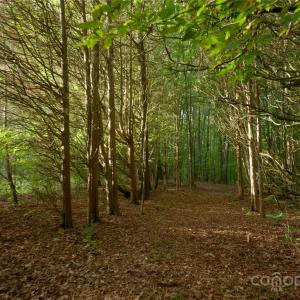Photo #6 of 9650 Barnett, Concord, NC