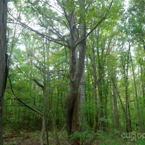 Photo #7 of 9650 Barnett, Concord, NC