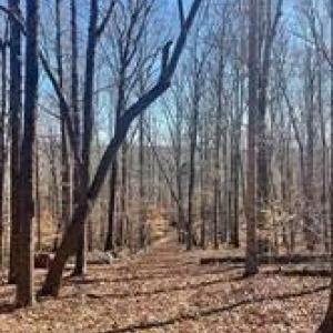 Photo #6 of Lot 6 Flint Ridge, Albemarle, NC