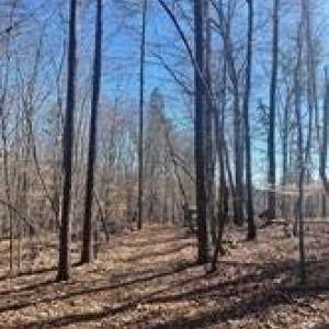 Photo #5 of Lot 6 Flint Ridge, Albemarle, NC