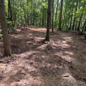 Photo #11 of Lot 6 Flint Ridge, Albemarle, NC