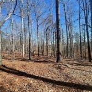 Photo #12 of Lot 6 Flint Ridge, Albemarle, NC