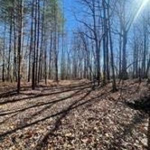Photo #4 of Lot 6 Flint Ridge, Albemarle, NC