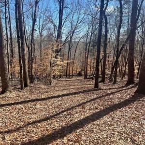 Photo #7 of Lot 6 Flint Ridge, Albemarle, NC