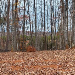 Photo #7 of 1056 Stephens Trail, Sandy Ridge, NC