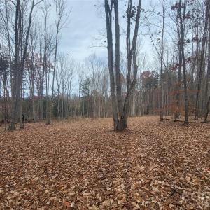 Photo #10 of 1056 Stephens Trail, Sandy Ridge, NC