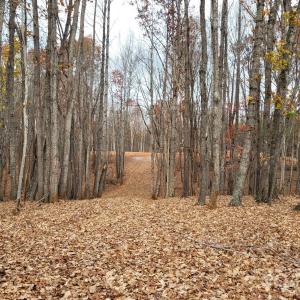 Photo #4 of 1056 Stephens Trail, Sandy Ridge, NC