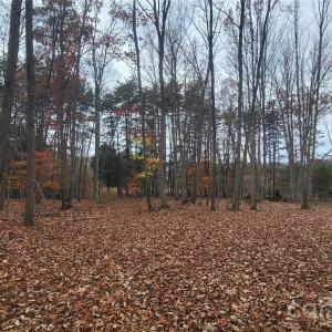 Photo #10 of 1056 Stephens Trail, Sandy Ridge, NC