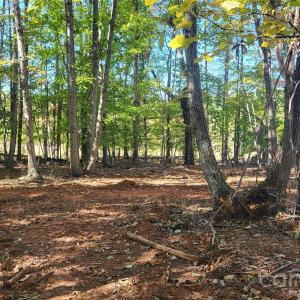 Photo #3 of 1056 Stephens Trail, Sandy Ridge, NC