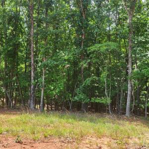 Photo #23 of 1056 Stephens Trail, Sandy Ridge, NC
