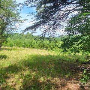 Photo #19 of 1056 Stephens Trail, Sandy Ridge, NC