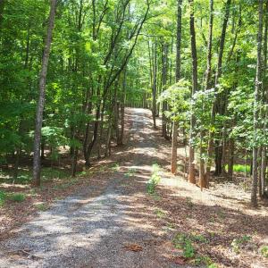 Photo #24 of 1056 Stephens Trail, Sandy Ridge, NC