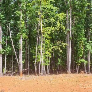 Photo #11 of 1056 Stephens Trail, Sandy Ridge, NC