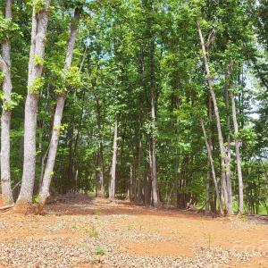 Photo #12 of 1056 Stephens Trail, Sandy Ridge, NC