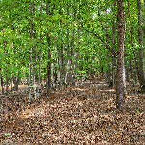 Photo #17 of 1056 Stephens Trail, Sandy Ridge, NC