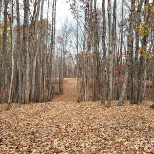 Photo #1 of 1056 Stephens Trail, Sandy Ridge, NC