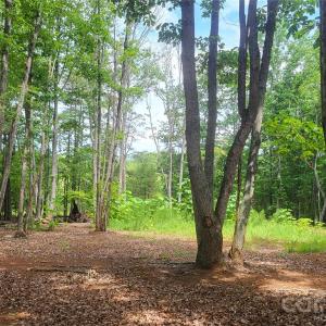 Photo #16 of 1056 Stephens Trail, Sandy Ridge, NC