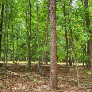 Photo #14 of 1056 Stephens Trail, Sandy Ridge, NC