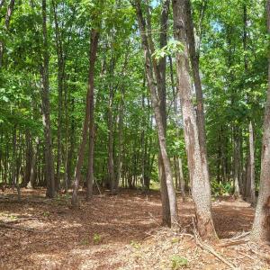 Photo #13 of 1056 Stephens Trail, Sandy Ridge, NC