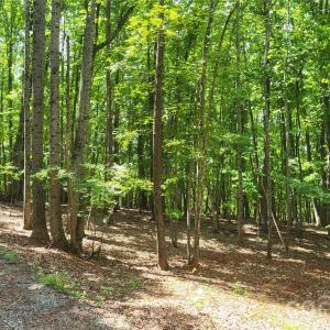 Photo #25 of 1056 Stephens Trail, Sandy Ridge, NC