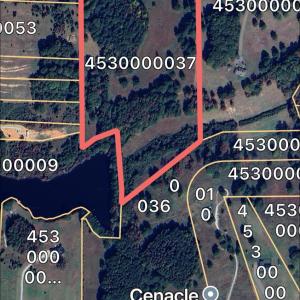 Photo #6 of Charlotte, York, SC