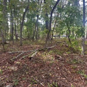 Photo #7 of Lot 92 Tidewater, Norwood, NC