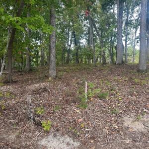 Photo #5 of Lot 92 Tidewater, Norwood, NC