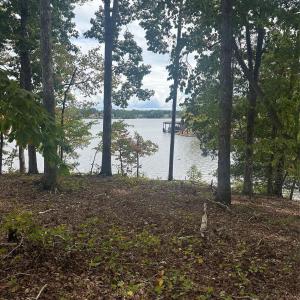Photo #9 of Lot 92 Tidewater, Norwood, NC