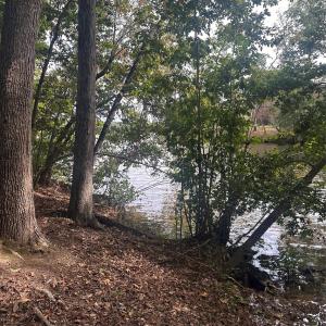 Photo #12 of Lot 92 Tidewater, Norwood, NC