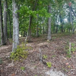 Photo #4 of Lot 92 Tidewater, Norwood, NC