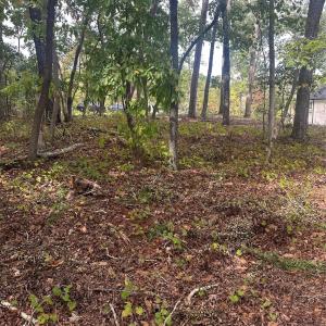 Photo #8 of Lot 92 Tidewater, Norwood, NC